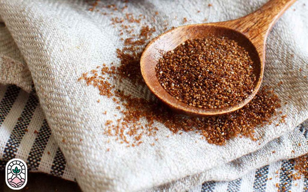Teff Tea چای تف ؛ ️ آیا میدانید چای تف چیست؟ و چه ویژگی هایی دارد؟ ⭐️