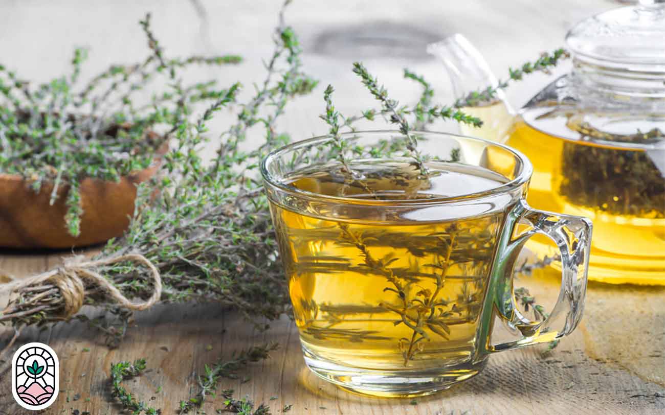 آویشن-دمنوش پر طرفدار خانگی
