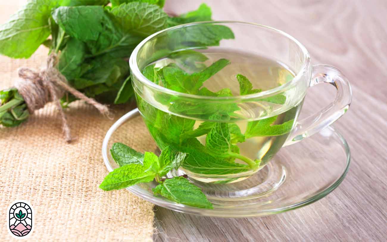 نعنا-دمنوش پر طرفدار خانگی