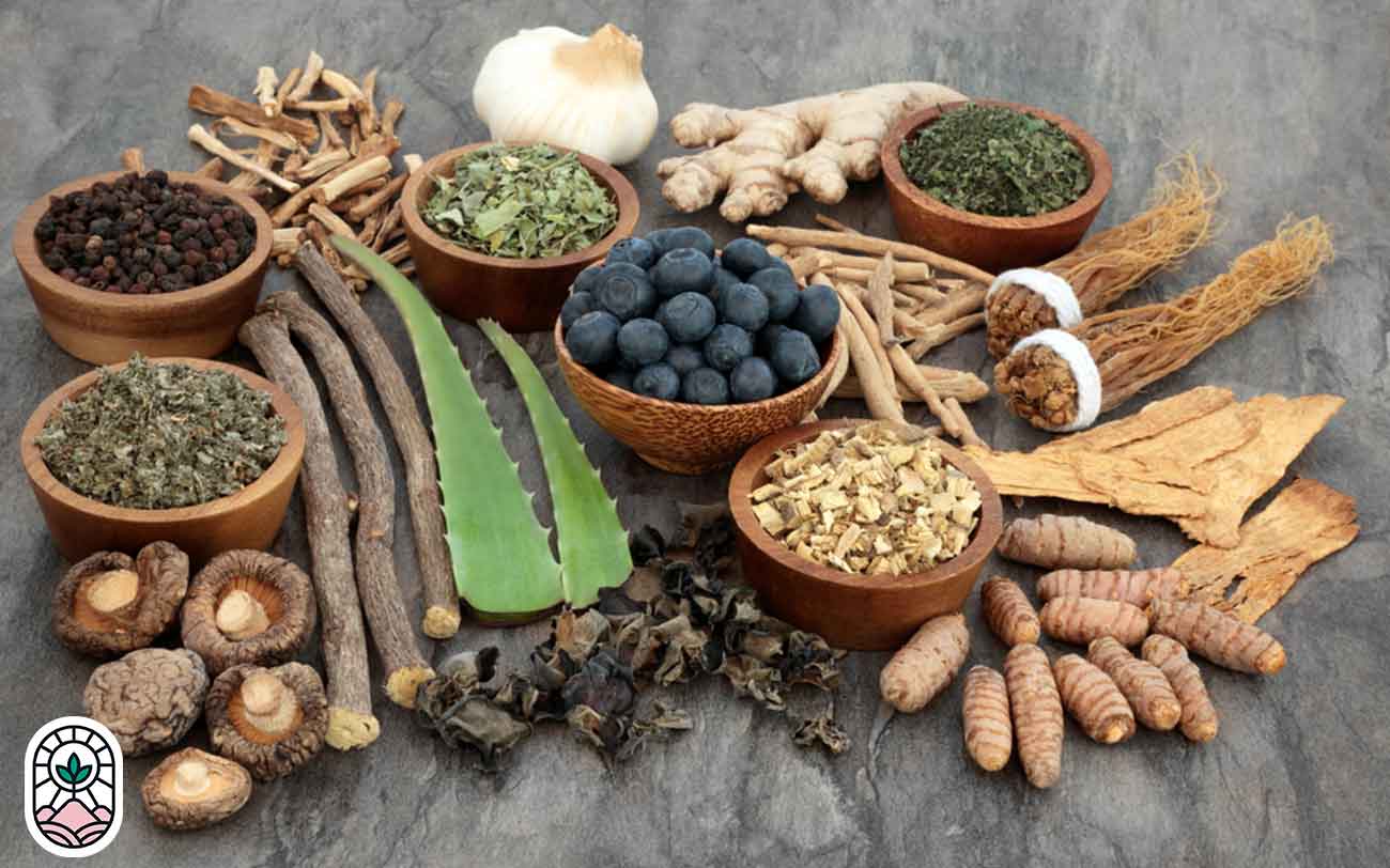 دمنوشهای عملکردی و گیاهان آداپتوژن