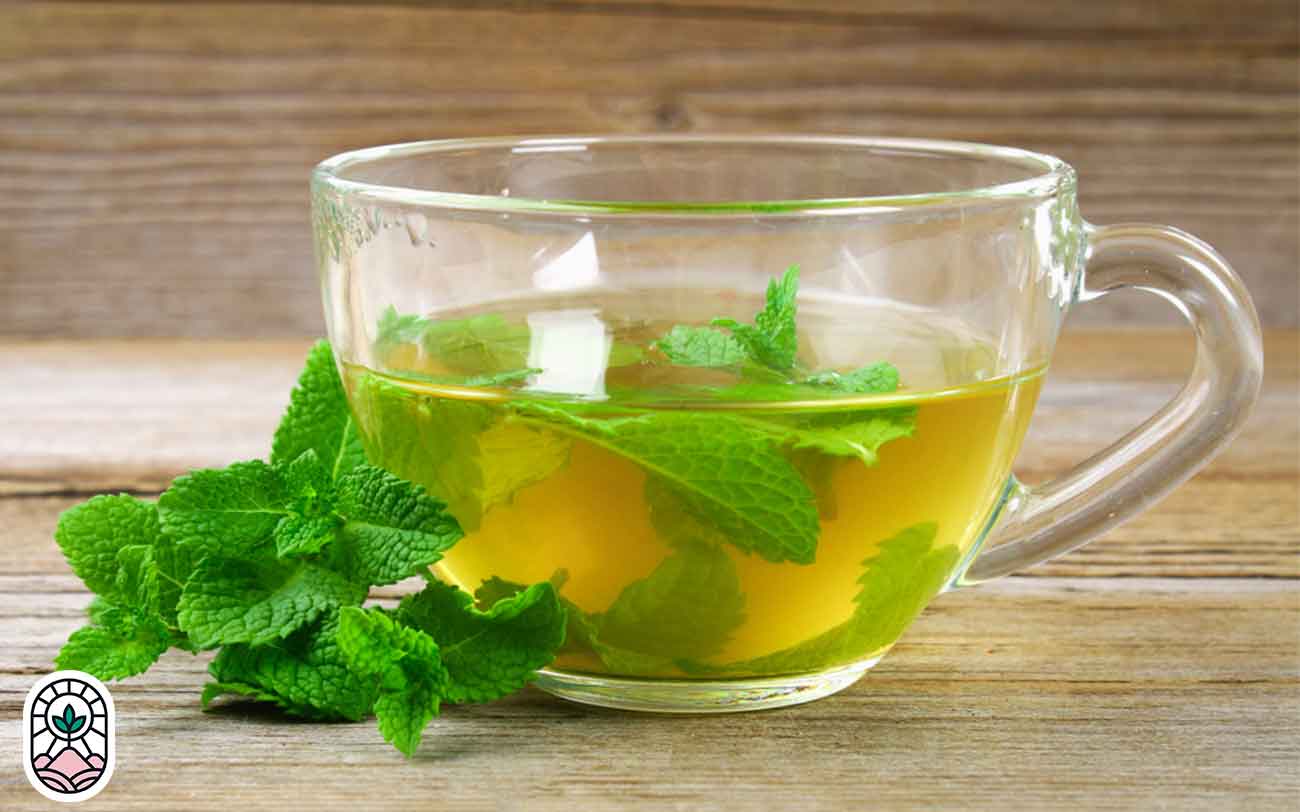 خواص دمنوش نعنا و پوست لیمو